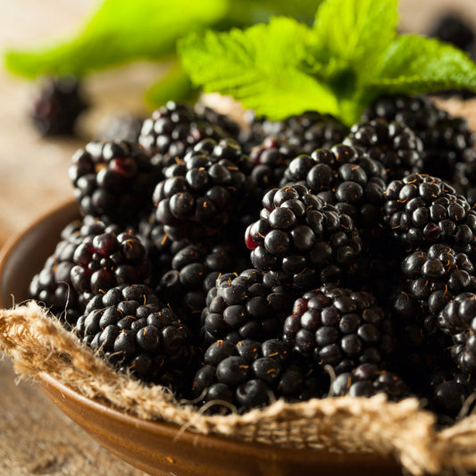 Pasolivo Pickled Blackberries Recipe